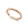 BAND-30(STL) (2)